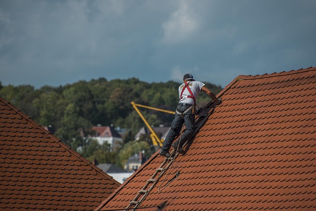 Why Choosing a Commercial Roofing Consultant Can Transform Your Business