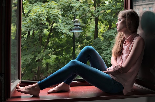 Choosing the Right Window Screens: A Comprehensive Guide